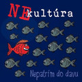Nepatrím do davu