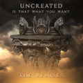 Is that what you want - The Remixes