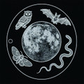 Beyond Midnight