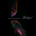 Bathyal