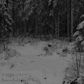 Snowfall in May (single)