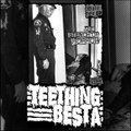 The Stench of Horror - split tape