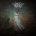 Awake to Emptiness
