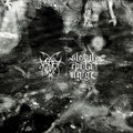 information/noise