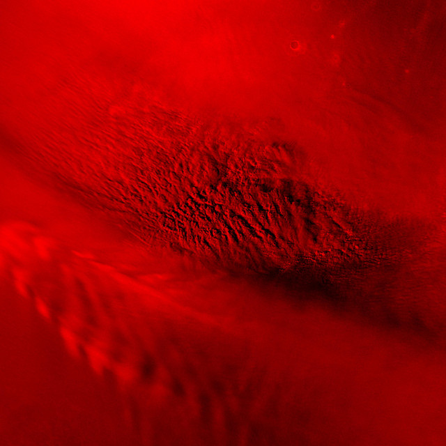 Scarlet Storm