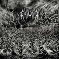 Scordalus
