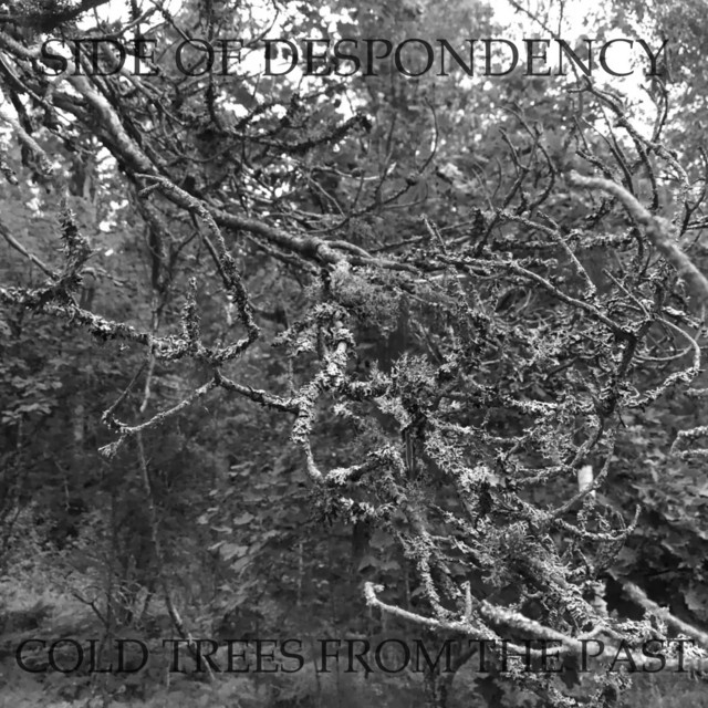 Cold Trees from the Past