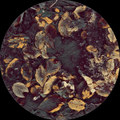 LP001