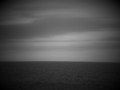 the storm & the calm