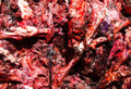 Rotten Pieces of Inner Dismay