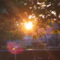 Before the Light Was Gone