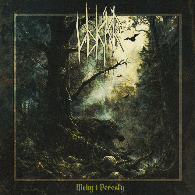 Mchy i Porosty (Dungeon Synth)