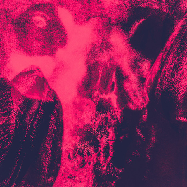 Angel Raised Wolves / Horizontal Loops