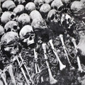 Mist in the Killing Fields