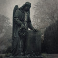 The Last Witness