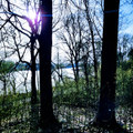 Skogens Hjärta (Hypothermia cover)