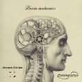 Brain mechanics