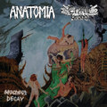 CRYPTIC BROOD / ANATOMIA Split