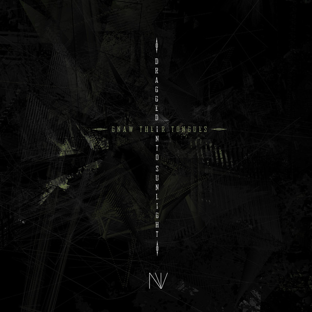 N.V.