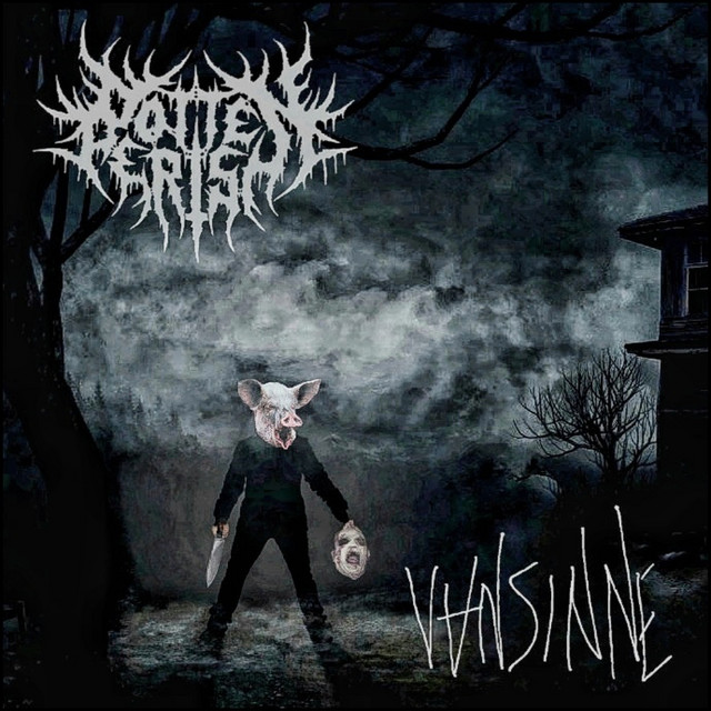 Vansinne