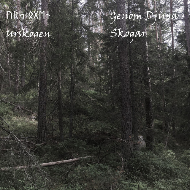 Genom Djupa Skogar