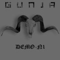 Demo-n1