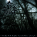 Was This Really the Place Where You Wanted to Belong? (Re-recorded)