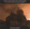 Destroying The Night Sky (2008)