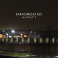 Valosaaste