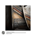 Collector's Series | 17