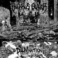 DAMnation