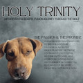 6:0 The Passion and the Promise (Hip-Hop/Rap/Gospel Fusion)