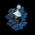 Violent Ends - Single