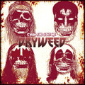 Kiss cover by DRYWEED - C`mon and love me