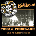 Fuzz & Feedback: Live at Bloodstock 2019