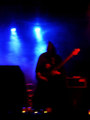 Druidic Invokation Ov The Subterranean Swamp Sarcosuchus