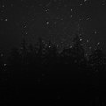 Traumwanderungen