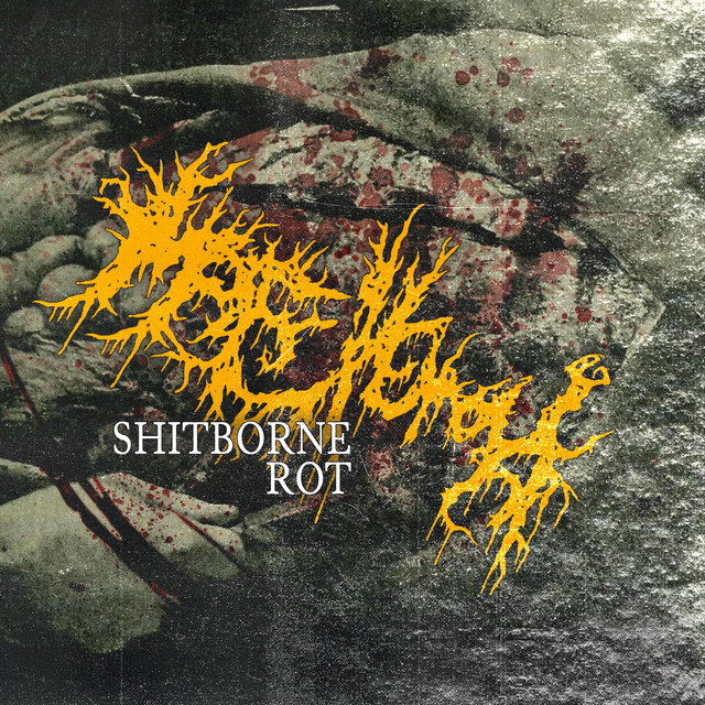 Shitborne Rot