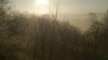 Treeline EP