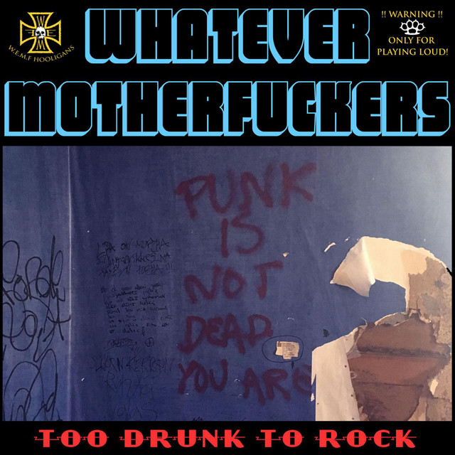 Too Drunk To Rock