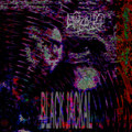 BLACK JACKAL