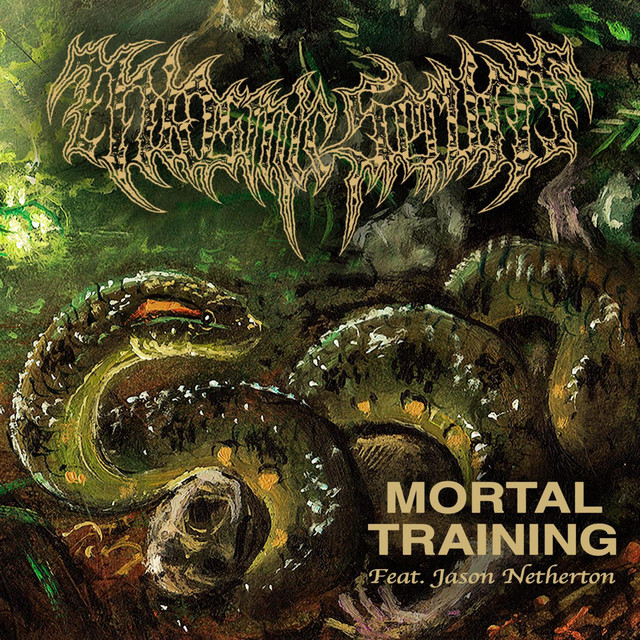 Mortal Training
