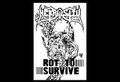 Rot to survive