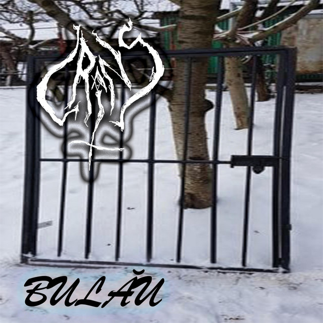 Bulău