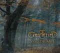 Yggdrasil