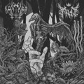 Nakkiga/ Arde (split 2023)