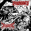 Split cd with Desolator(SWE)