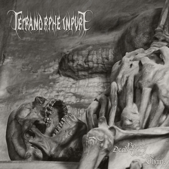 Dead Hopes / The Last Chains