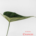 Changes EP