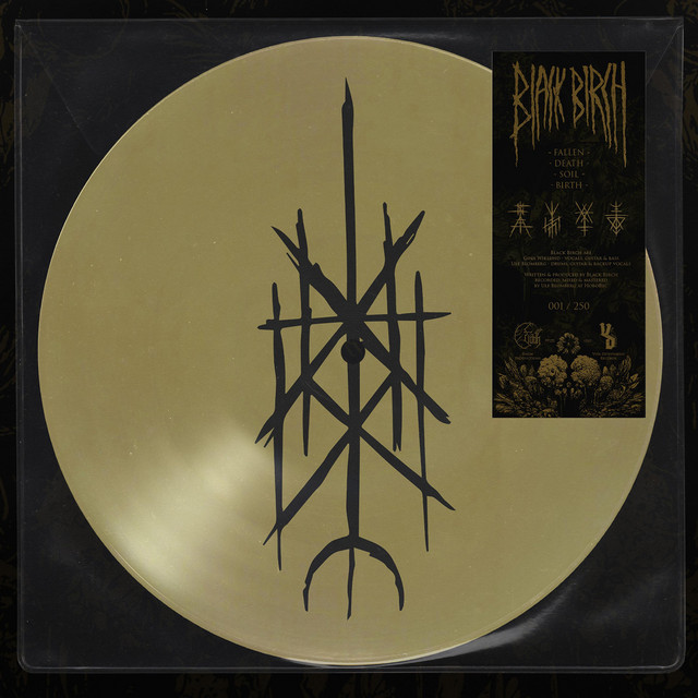 Black Birch